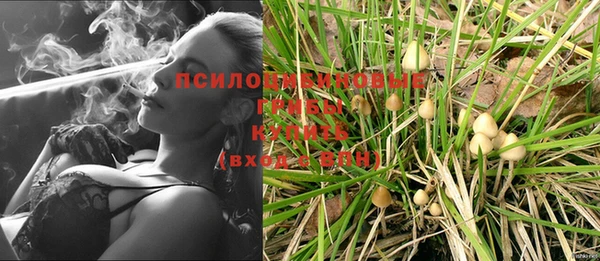 кокс Арсеньев
