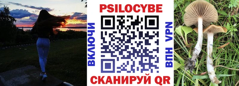 hydra tor  Новочеркасск  Галлюциногенные грибы MAGIC MUSHROOMS 